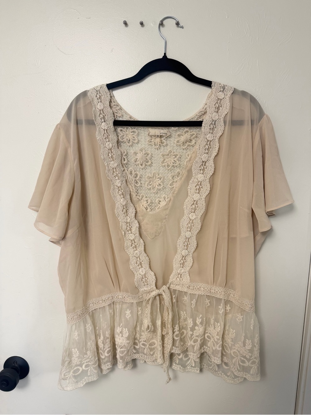 Sheer Lace-Trim Overlay Top in Light Beige